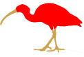 Confraria Uchôa
